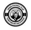 Vipers FC